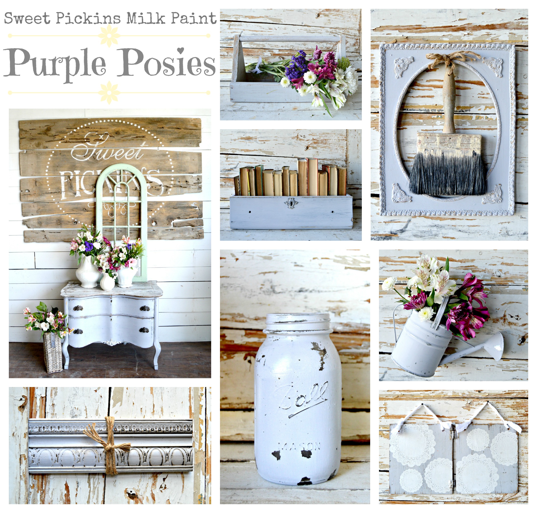 Purple-Posies-Collage.jpg